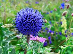 -白草畔自然风景区