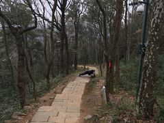 -九曜山