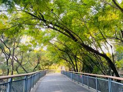 -金鸡山公园