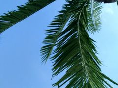 -波塞冬旅游度假区