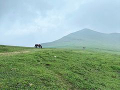 -灵山