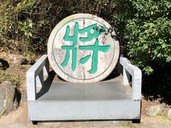 -苍山感通索道