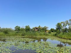 -宁波杭州湾国家湿地公园