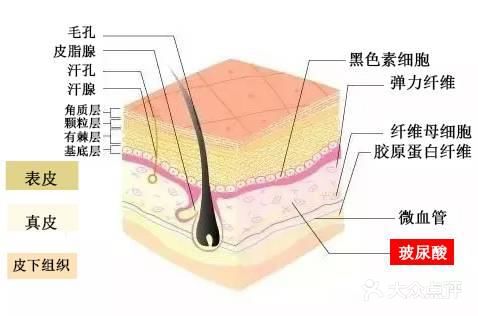 肉毒素多久见效