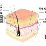 肉毒素多久见效