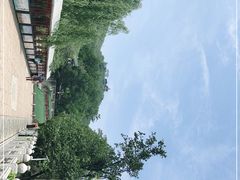 -八大处公园