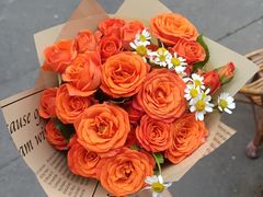 -循礼门鲜花花市(武汉循礼门店)