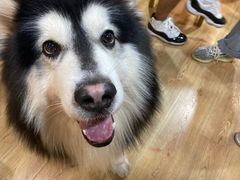 -白兔子密室(长寿路店)