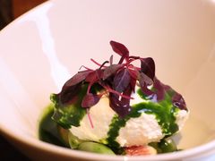 自制ricotta-EGoN