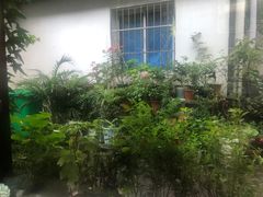 -家烧面馆【南山路知名经典面食】