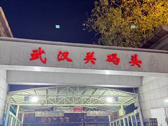 -武汉关码头(轮渡站)