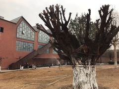 -中国艺术研究院油画院