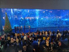 -成都浩海立方海洋公园