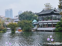 -荔湾湖公园
