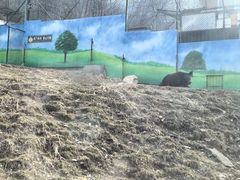 -栾川竹海野生动物园