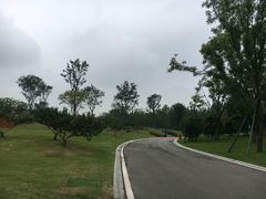 -府河摄影公园