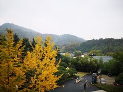 包房-杭州海华满陇度假酒店