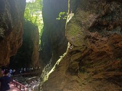 -牛背梁国家森林公园