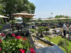 -蘇河湾·新鲁菜·泰山宴(泰山店)