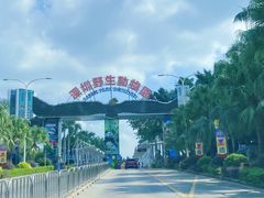 -深圳野生动物园