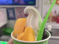 -Salud撒露欧洲冻酸奶(五道口购物中心店)