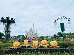 -上海迪士尼度假区