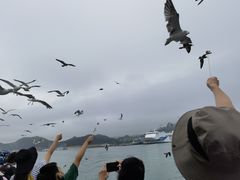 -海驴岛(荣成市)