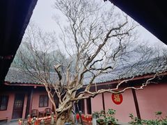 -剑门关风景区