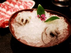 望潮-荣记火锅(青悦城店)