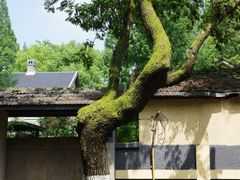-颐和路民国时期公馆风貌区