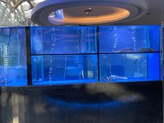 -王家渡火锅店(棕榈泉店)