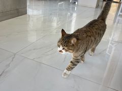 -邢大夫动物医院