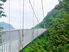 -藏龙百瀑风景区