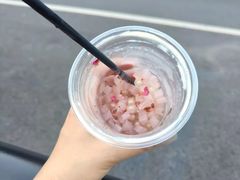 -J Create城市露营咖啡·简餐·宠物(上海动物园店)