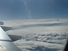 -特丰抓饭(莱茵庄园店)