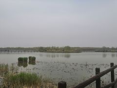 -西青郊野公园