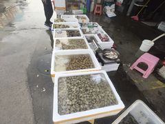 -王四营海鲜市场