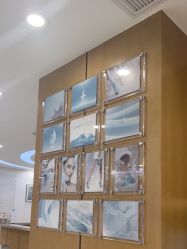 -智美品质医美
