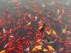 -狼山风景名胜区