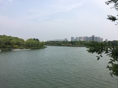 -暨阳湖生态园