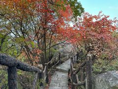 -秦岭终南山世界地质公园翠华山景区