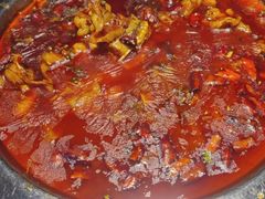 -美蛙四季(黄寺大街店)