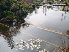 -云溪植物园