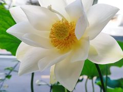 -火炉山森林公园