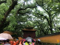 -普陀山风景名胜区-法雨禅寺