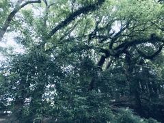 -溪口-滕头旅游景区