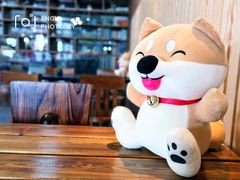 -柴源莊·柴小宠柴犬咖啡