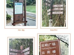 -铁山坪森林公园