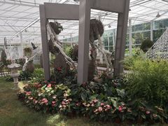 -上海鲜花港