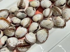 -华盛丰温州大排档(东三环南路店)